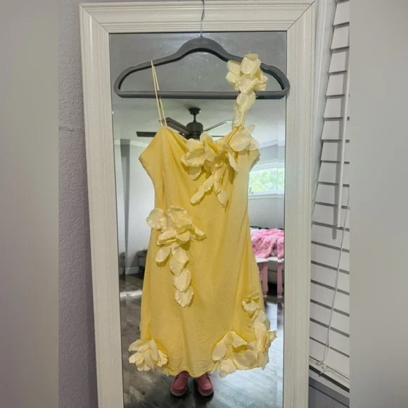 Anthropologie Hutch 3D Floral Appliqué Linen Blend Dress - Picture 4 of 4